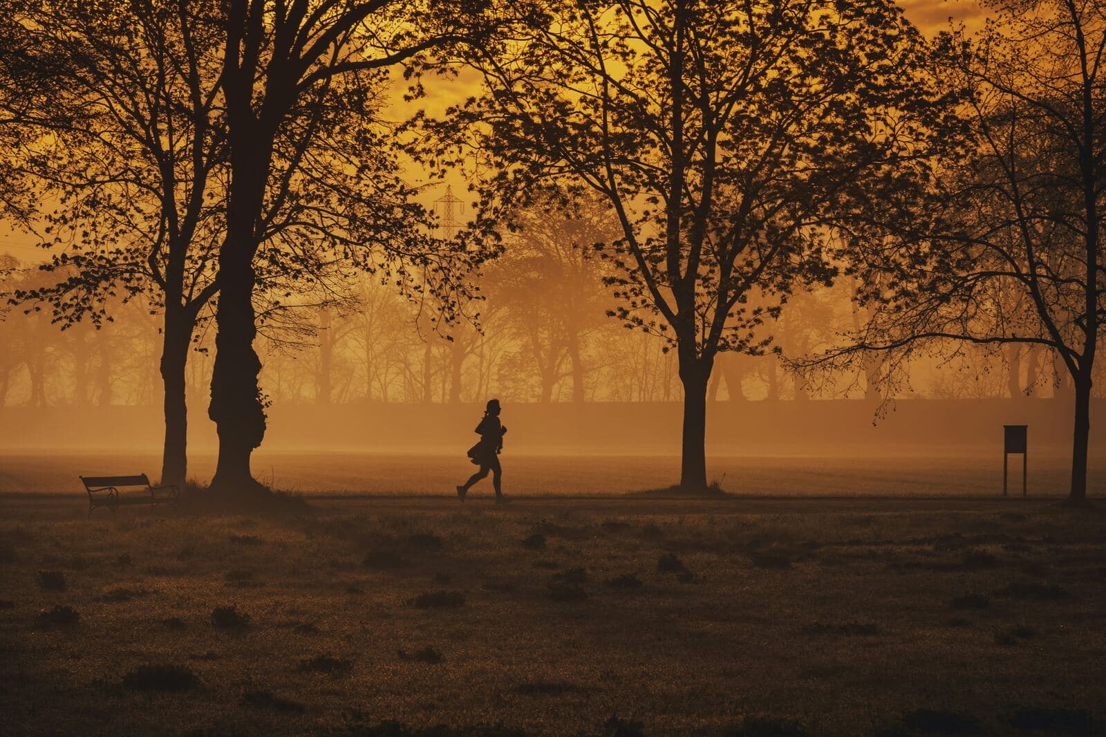 Foggy park at dusk near Luma Living