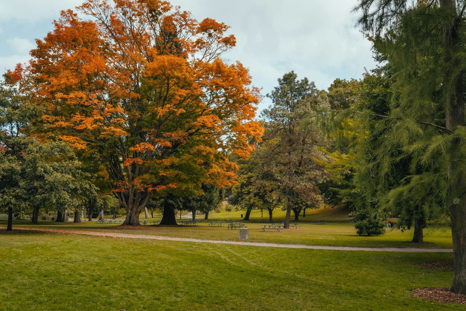 Park with autumn foliage near Luma Living